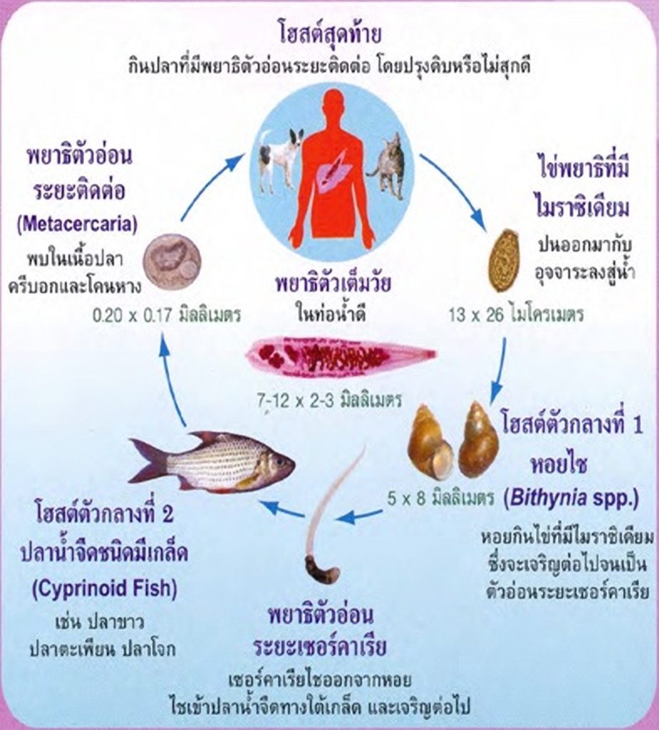 My Image 18