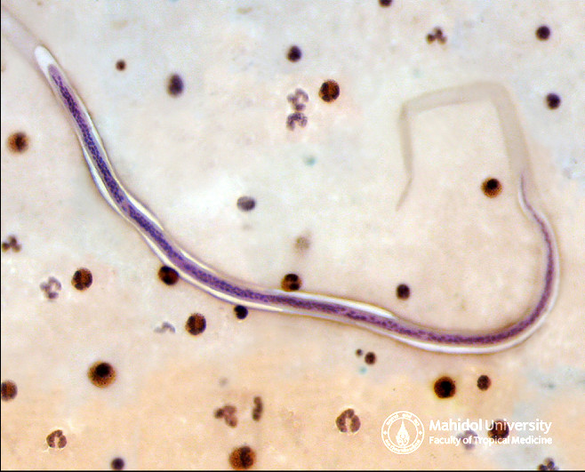 ??????????????????????????