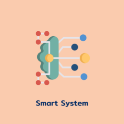 Smart System